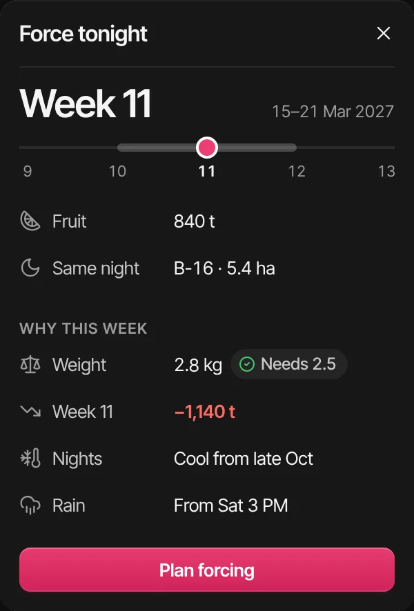 Force tonight: week 11, 15 to 21 March, 840 t of fruit, B-16 the same night, and why this week: weight 2.8 kg, week 11 short 1,140 t, cool nights from late October, rain from Saturday