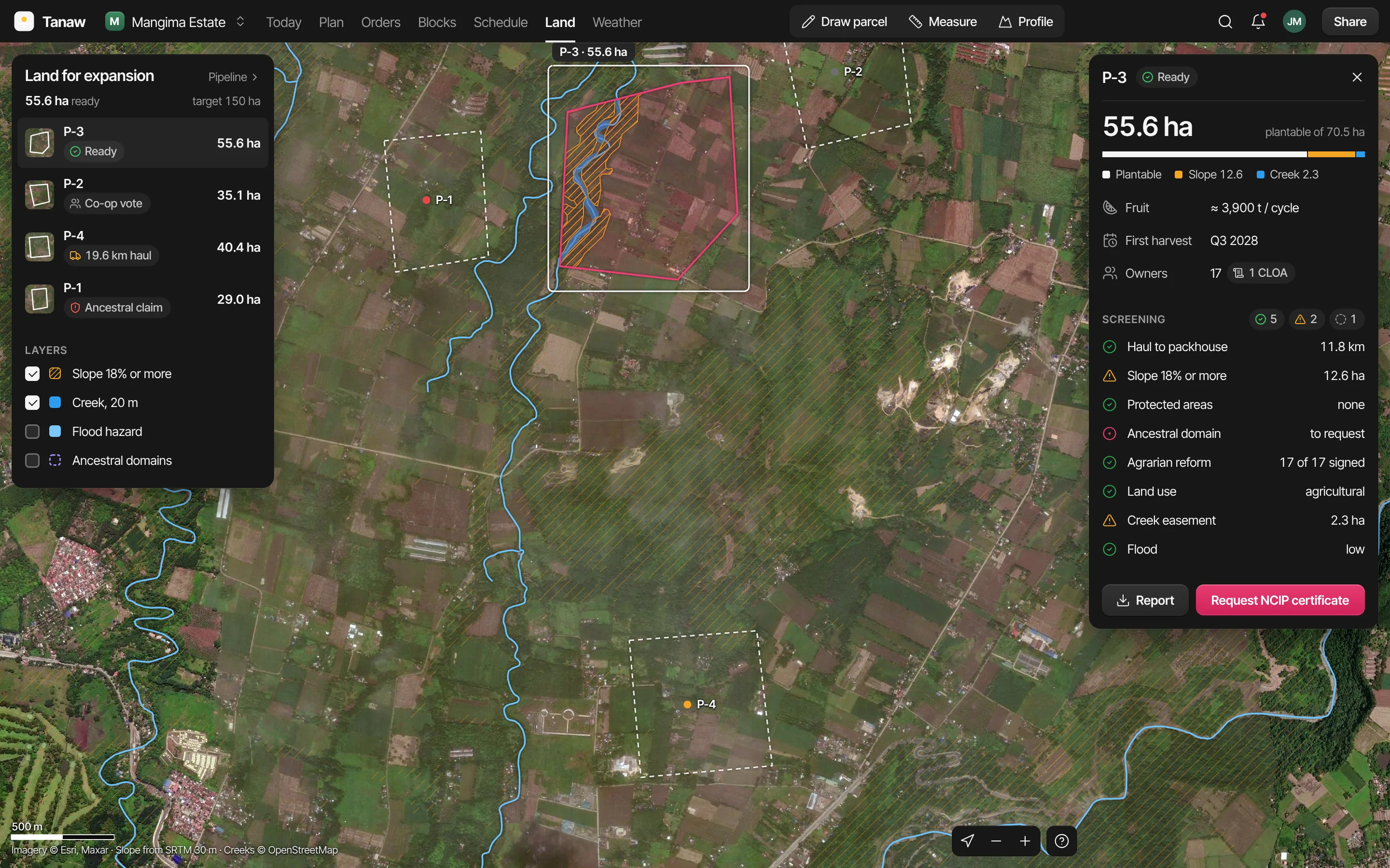 Land for expansion: parcel P-3 hatched for steep slope beside a creek in blue, the four parcels down the left, and P-3’s screening on the right: 55.6 ha, 3,900 t a cycle, first harvest Q3 2028